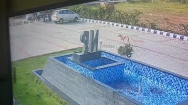 ಇಳಕಲ್: ನಗರದಲ್ಲಿ ಹುಚ್ಚುನಾಯಿ ಸೆರೆ ಹಿಡಯುವಲ್ಲಿ ಯಶಸ್ವಿಯಾದ ನಗರಸಭೆ ಸಿಬ್ಬಂಧಿ