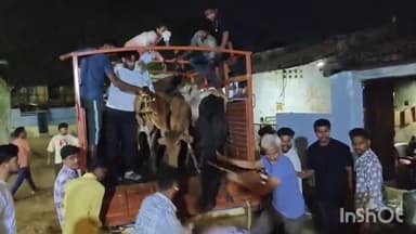 धमतरी: धमतरी में गायों से भरी मेटाडोर वाहन को पकड़कर गौ रक्षकों ने किया जमकर हंगामा, तस्करी के आरोप लगाए