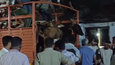 धमतरी: मेटाडोर में गौ वंशों को क्रूरतापूर्वक ले जाने का मामला, गौ सेवकों ने रोकी गाड़ी, लगे विभिन्न आरोप, देर रात तक हुआ हंगामा