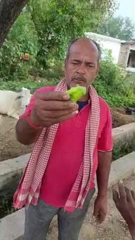 ए पंडित जी सातवासा के रहने वाले हैं ए करेला ककड़ी की तरह का जाते हैं उनको ना तो कोई कड़वाहट लगती है और एक दिन 1.500 करे