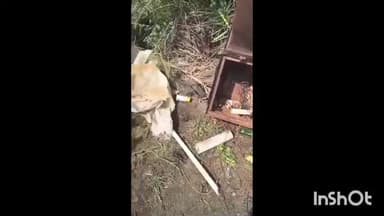 सरदारपुर: बिछिया व बड़ोदिया के 18 किसानों के खेतों से अज्ञात बदमाश ₹2 लाख की सामग्री चुरा ले गए, पुलिस को आवेदन