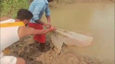 घाट कुसुंभा: बाउघाट थाना पुलिस ने 30 लीटर देशी शराब के साथ एक तस्कर को गिरफ्तार कर जेल भेजा