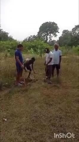 दुलमी: हरहद कंडेर बोरवा टोला में समाजसेवी महताब आलम और अन्य लोगों ने 50 डिसमिल भूमि पर लगाए आम के पौधे