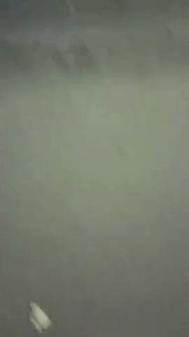 alto wala ne Mari chota hath me police wale ne mare thappad
#trafficawareness #policeheadquarters #viral #taranding