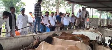 भूपालसागर: सेवा, संस्कार और स्वच्छता की त्रिवेणी: सांसद सीपी जोशी के जन्मदिवस पर भूपालसागर में सेवा पर्व से गूंजा जनसेवा का संगम