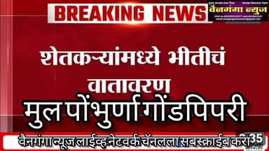 मूल, पोंभुर्णा व गोडपिपरीत वाघाचा कहर!🌾शेतकऱ्यांची भीती वाढली | Human-Wildlife Conflict | Chandrapur