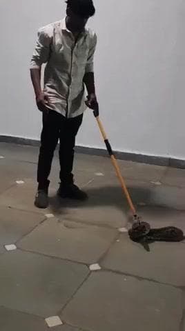 सहसपुर लोहारा: रायपुर रोड स्थित एक हॉस्पिटल के अंदर घुसे 03 फिट लंबे अजगर सांप का रेस्क्यू स्नेक रेस्क्यूवर लोकेश जायसवाल ने किया