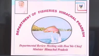 कुमारसैन: मुख्यमंत्री सुखविंदर सिंह सुक्खू ने मत्स्य उत्पादन बढ़ाने के लिए विभाग को आधुनिक तकनीक अपनाने के दिए निर्देश