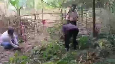 বেলডাঙা ২: রেজিনগর জুড়ে আকাশপথে ড্রোন উড়িয়ে পুলিশি নজরদারি,উদ্ধার একাধিক জাড় ভর্তি তাজা সকেট বোমা,কি জানালেন এসডিপিও দেখুন