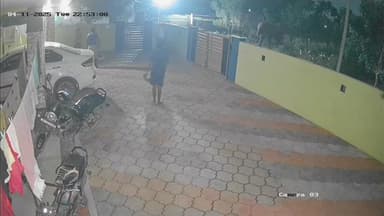 கோவை வடக்கு: தடாகம் - பன்னிமடை பகுதியில் உணவு தேடி உலா வரும் ஒற்றைக் காட்டு யானை