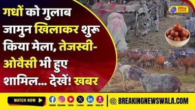 गधों का मेला: बिकने आए सलमान-शाहरुख और तेजस्वी-ओवैसी, दांत देखकर लगाते हैं ताकत का अंदाजा... देखें! खबर
.
.
.
#breakingn...