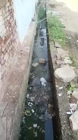 वार्ड नंबर 19 शिवम नगर रीवा रोड मैहर यहां एक से डेढ़ महीने से अभी तक साफ सफाई नहीं हो रही