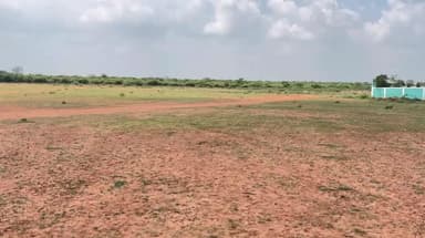 ஓட்டப்பிடாரத்தில் வஉசி யின் குரு பூஜையை முன்னிட்டு நடைபெற உள்ள மாநாட்டிற்கு கால் கோள் விழா