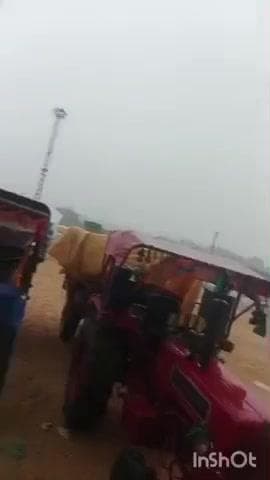 छबड़ा: छबड़ा में हुई बारिश से भीगी किसानों की 7 एकड़ मक्का की फसल सुखाने के लिए पड़ी