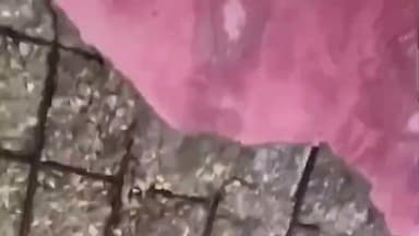 सिरमौर: रीवा: 'खतरे का घर' बना स्कूल, 28 मासूमों की जान खतरे में