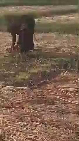 banjari kalan haliya block lalganj mirjapur pal basti