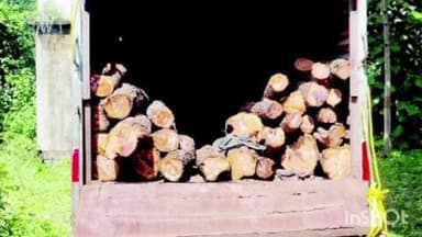 घाटंजी: खापरी नाक्याजवळ लाकडाची तस्करी करणारे वाहन जप्त,वन विभागाची कारवाई