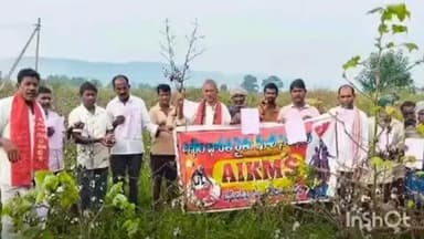 ఇల్లందు: టేకులపల్లి మండల పరిధిలోని సామెత ఉండాలి పర్యటించి పత్తి పంటను పరిశీలించిన ఏఐకేఎంఎస్ పార్టీ శ్రేణులు