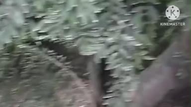 खानपुर: खानपुर कस्बे के जैन मंदिर से भगवान शिव और हनुमान जी की मूर्तियां हुई चोरी, थाने में मामला दर्ज