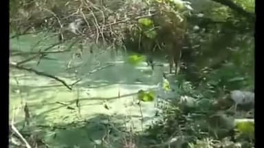 नईगढ़ी: मऊगंज: नईगढ़ी थाना क्षेत्र के लेड्डुआ गांव में मुरुम खदान में डूबने से महिला की मौत