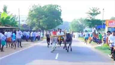 தேவகோட்டை: தேவகோட்டை அருகே நடைபெற்ற மாட்டுவண்டி பந்தயத்தில் 113 ஜோடி மாடுகள் பங்கேற்பு!