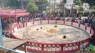 ସିମୁଳିଆ: କୁପାରୀ ଶୁନ୍ୟ ମଣ୍ଡପ ରେ କାର୍ତ୍ତିକପୂର୍ଣ୍ଣିମା ଅବସର ହଜାର ହଜାର ଭକ୍ତ ଙ୍କ ସମାବେଶ