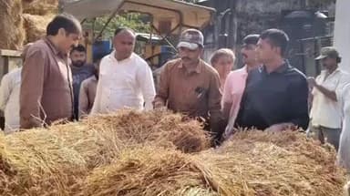 તાલાળા: કોડીનારના ઉપપ્રમુખ શિવા સોલંકીના પ્રયાસોથી 8 લાખ કિલો જેટલા ઘાસચારાનો સ્ટોક ભાવનગર અને મહુવાથી કોડીનાર સુધી વિતરણ કરવામા આવશે