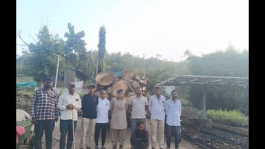 સીંગવડ: તોયણી ખોટા રોડ પરથી પંચરાવ લાકડાનો ટેમ્પો ફોરેસ્ટ વિભાગે ઝડપી પાડયો