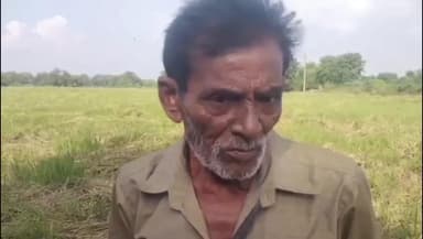 મહુધા: વરસાદને કારણે ડાંગરના પાકને નુકશાન