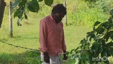 కొడంగల్: కోడంగల్ పట్టణ సమీపంలో చెట్టుకు ఉరివేసుకొని వ్యక్తి మృతి