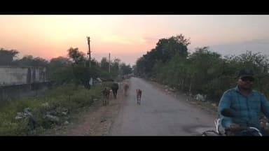 कसडोल: चांटीपाली के ग्रामीण नगर पंचायत की लापरवाही का भुगत रहे हैं, कूड़ा-कचरा की गंदगी से हालत खराब