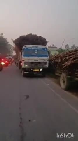 पलिया: गुलरिया चीनी मिल के पास गन्ना से भरा ट्रक सड़क पर खड़ा करके चालक हुआ रफूचक्कर, लगी भीषण जाम