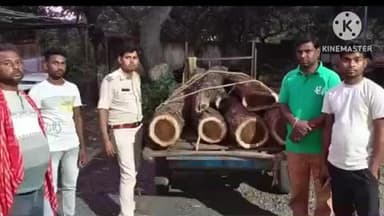 तालझारी: तालझारी वन विभाग की टीम ने सीता पहाड़ बाकुड़ी सड़क से शीशम लदी 6 बोटा लकड़ी ज़ब्त की