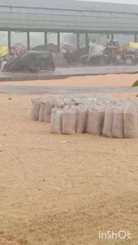 छीपाबड़ोद: छीपाबड़ौद अनाज मंडी में 9090 कट्टों की हुई आवक