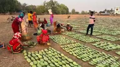 छत्तीसगढ़ के 25 वर्षों का अभूतपूर्व सफर, वनोंपज, जल संरक्षण और इको टूरिज्म से आई समृद्धि