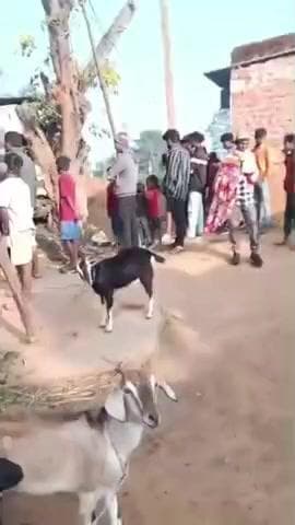 बूरमू: बुढ़मू राय रोड पर भीषण सड़क दुर्घटना, हाईवे क्षतिग्रस्त