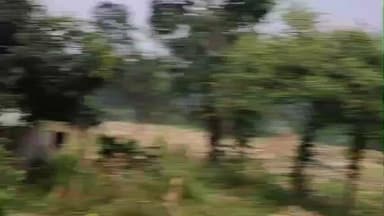 मोहखेड़: खैरवाड़ा में कलेक्टर के नियम का उल्लंघन, किसान ने जलाई नरवाई, पुलिस थाने में एफआईआर दर्ज