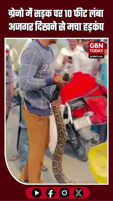 ग्रेटर नोएडा में सड़क किनारे दिखा 10 फीट लंबा विशाल अजगर, लोगों में मची दहशत #GreaterNoida #BreakingNews #PythonRescue