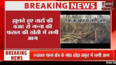 रिपोर्ट देवेन्द्र कुमार सत्यार्थ न्यूज रुदावल, भरतपुर
खबर एवं विज्ञापन के लिए संपर्क करें
मो.7014152481