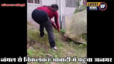 जंगल से निकलकर आबादी में पहुंचा अजगर
#paliakalankheri
#lakhimpurkherinews
#UPNews
#latestnewsup
#dudhwatiger