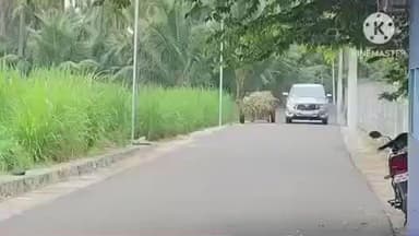 கோபிசெட்டிபாளையம்: செய்தியாளர்கள் சந்திப்பு வேண்டாம் அதற்கு ஒரு காரணம் உள்ளதாக தெரிவித்த முன்னாள் அமைச்சர்