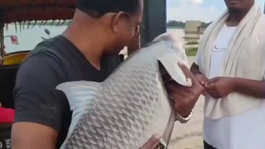 कोलेबिरा: कोलेबिरा डैम में 18 किलो की मछली पकड़कर लोगों ने मचाई सनसनी