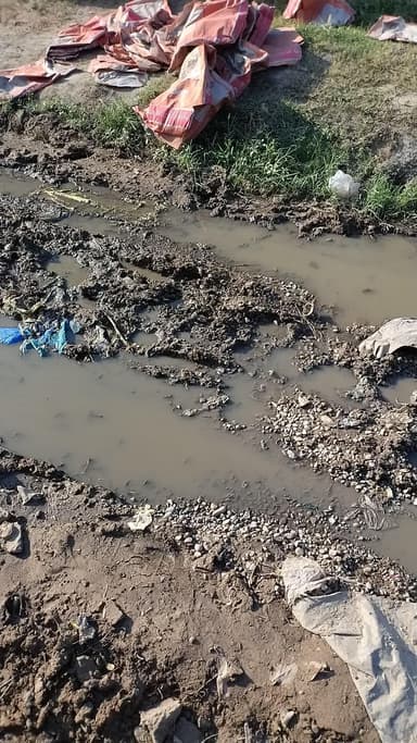 gao me rod ki problem #@@@