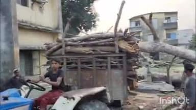 धौरहरा: सीएचसी खमरिया में सरकारी पेड़ों का अवैध कटान, बिना कार्रवाई छोड़ा गया ट्रैक्टर, वीडियो हुआ वायरल