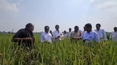 వాడపల్లి వెంకటేశ్వర స్వామి వారి ఆలయ భూములను స్వాధీనం చేసుకున్న ఆలయ అధికారులు