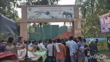 पलिया: बसंतापुर में बाघ का आतंक, मवेशियों के बाद इंसानों में दहशत, ग्रामीणों ने पलिया वन विभाग कार्यालय का किया घेराव