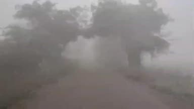 नंदुरबार: कोपर्ली गाव शिवार व परिसरात धुक्यामुळे हिल स्टेशन सारखा लुक; मात्र पिकांना नुकसान