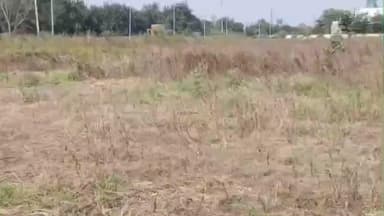 दलौदा: दलोदा: शासकीय महाविद्यालय में अव्यवस्थाओं के खिलाफ NSUI का 3 सूत्री मांगों को लेकर प्रदर्शन