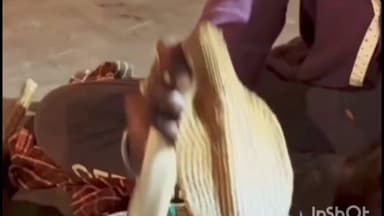 बोध गया: बोधगया: महाबोधी मंदिर परिसर में सांप से खेलती दिखी विदेशी पर्यटक, वीडियो वायरल