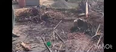 गोला गोकरणनाथ: गोला तहसील क्षेत्र के रामनगर कलां में दो घर जलकर हुए राख, सुबह 4 बजे लगी आग, पड़ोसी पर शक में युवक हिरासत में